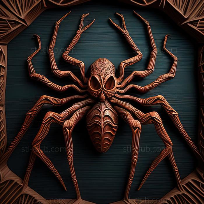 st spider